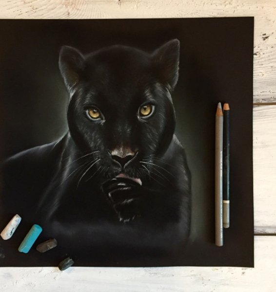 Пантера пастелью