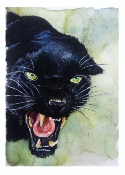 Пантера чёрная гуашью
