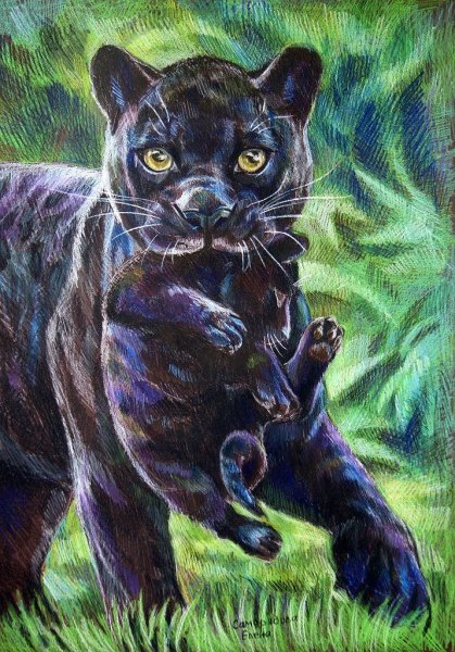 Пантера котенок