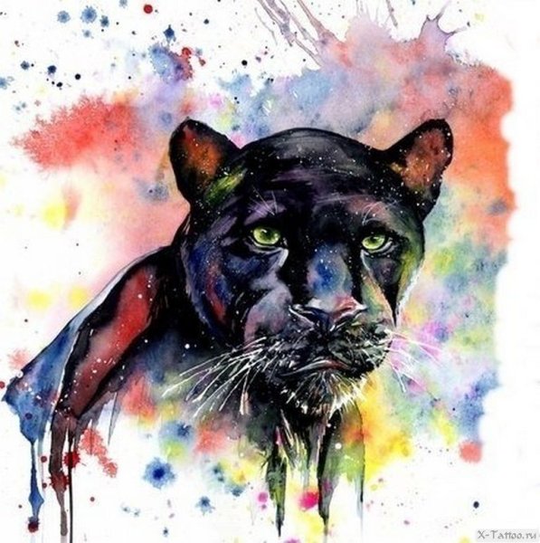Пантера акварелью