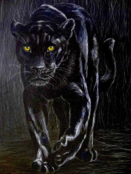 Пантера для рисования