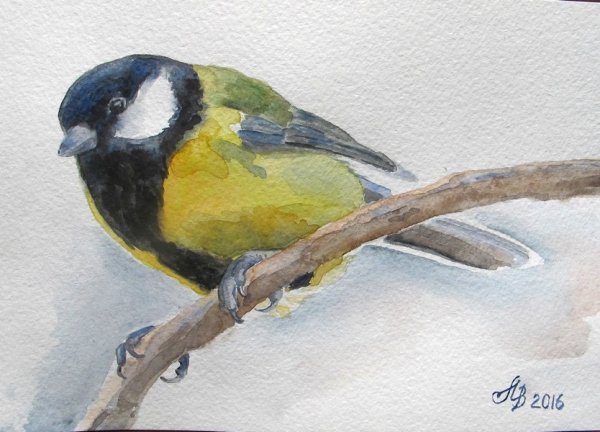 Синица красками