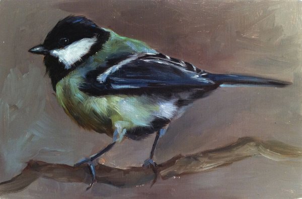 Синичка красками