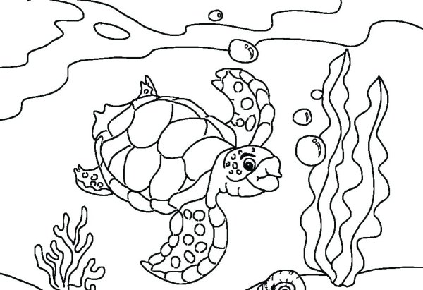 Раскрашиваем красками для детей