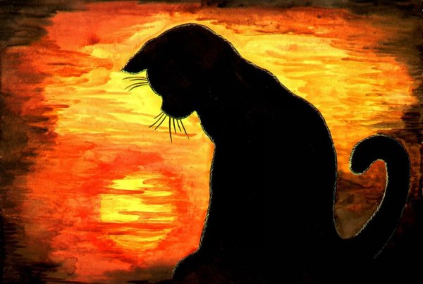 Ева Людвичак акварели кошки