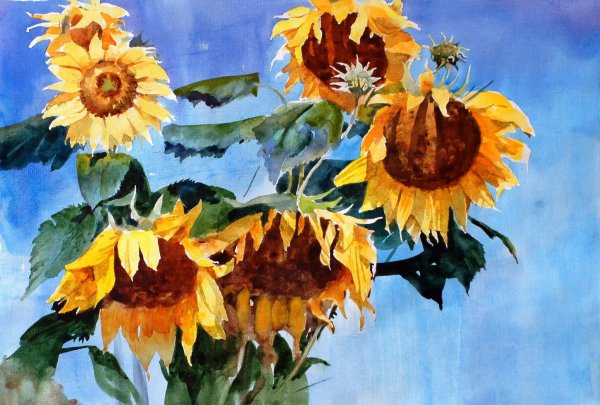 Подсолнухи гуашью