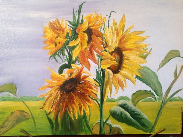 Правополушарное рисование Подсолнухи