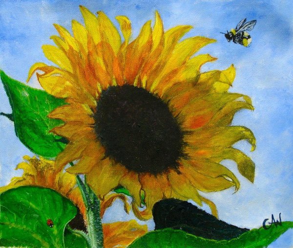 Подсолнухи масляной пастелью