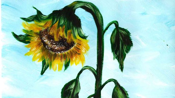 Акварельные карандаши Подсолнухи