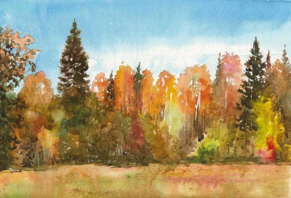Осенний пейзаж акварель художник Арсенин