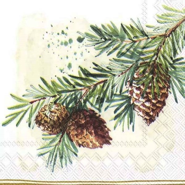 Акварельные еловые ветки