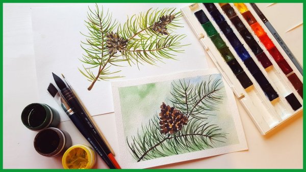 Ветка елки красками