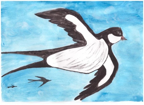 Рисование гуашью ласточек