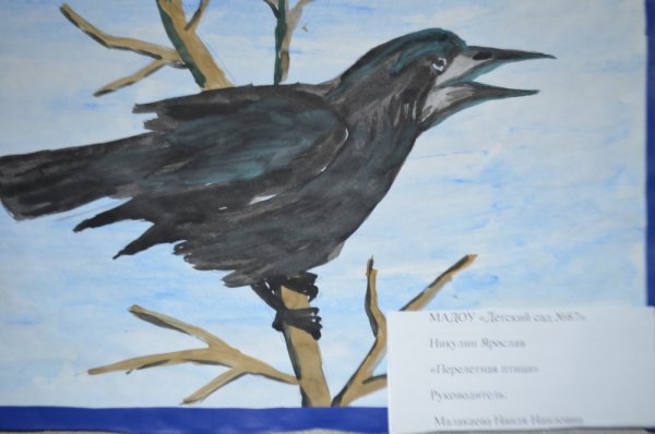 Рисование птицы Грач