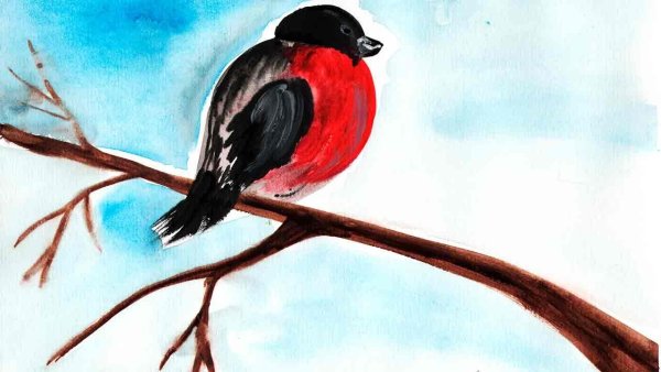 Нарисовать снегирей на ветке красками