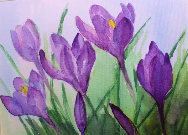 Подснежники рисунок