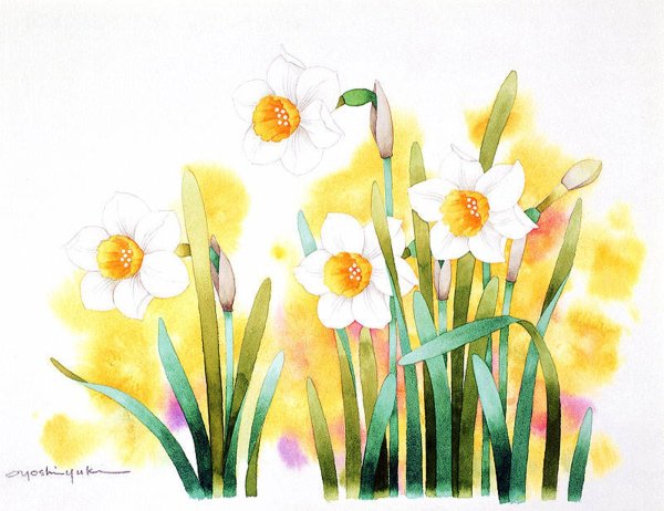 Полевые цветы для рисования