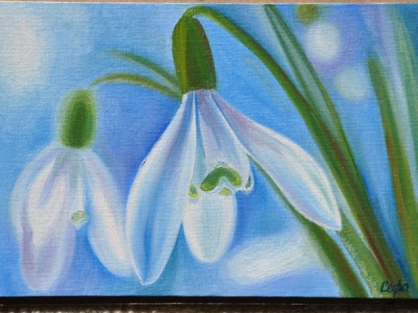 Подснежники акварель