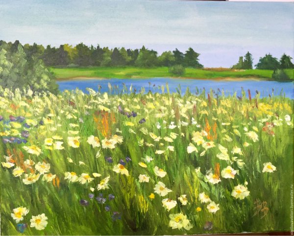 Ромашковое поле маслом