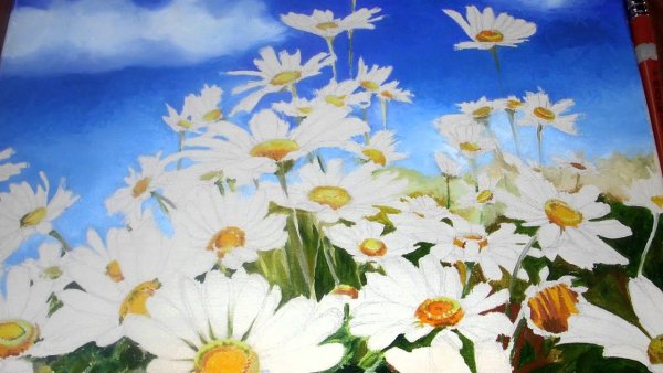 Правополушарное рисование ромашки тянутся у солнце