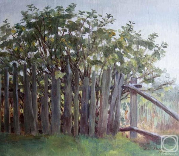 Забор акварель