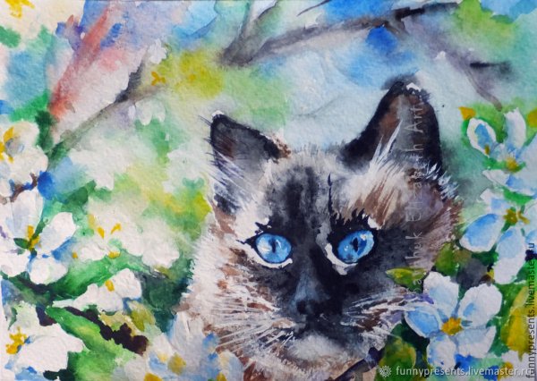 Живопись весенний котик