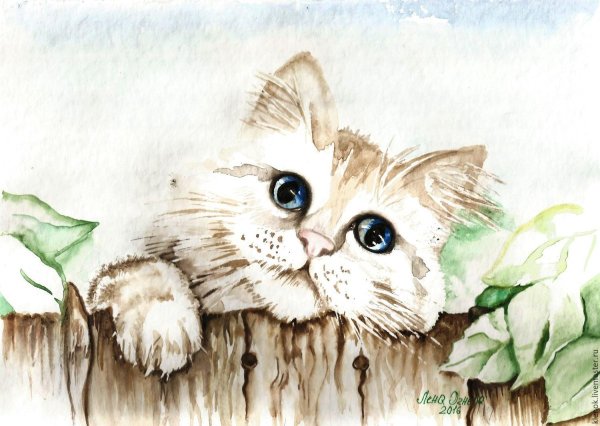 Милые котики акварель