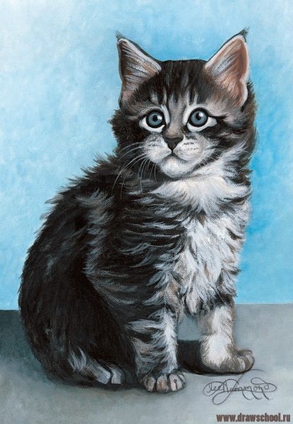 Рисование котят гуашью