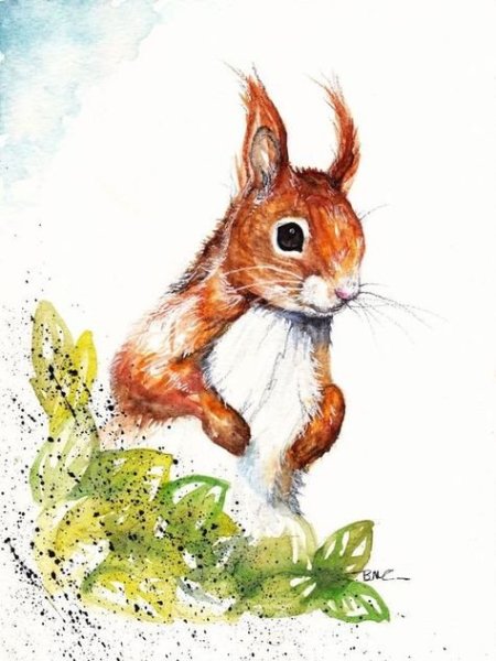 Белка акварелью