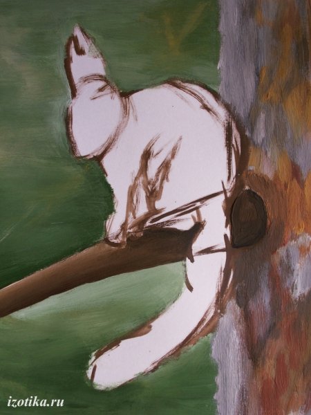 Белка рисунок гуашью