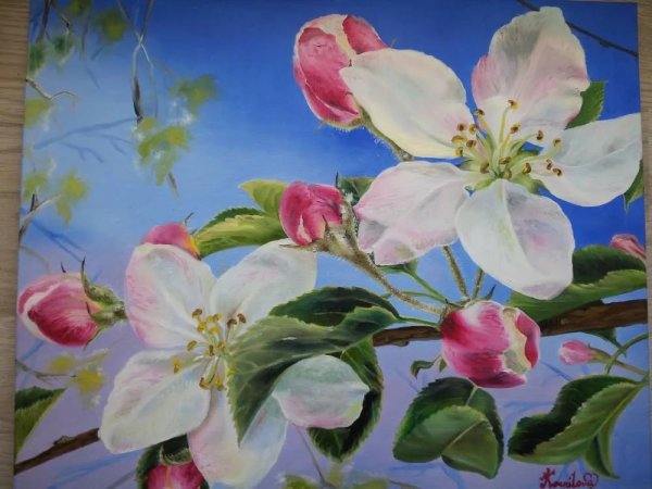 Рисование яблоня в цвету