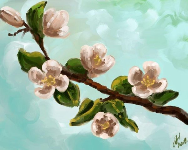 Майская веточка яблони сбоку