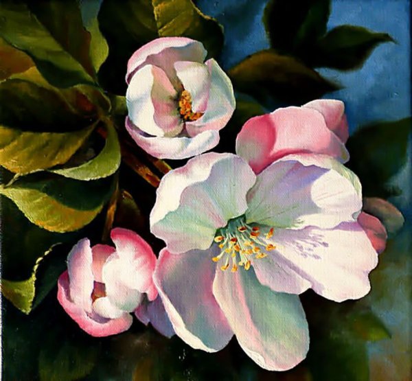 Акварели Светланы Курашовой яблоня