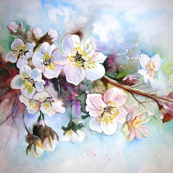 Акварельные весенние цветы