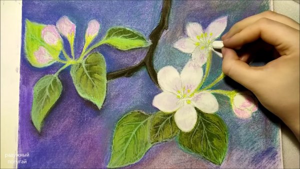 Веточка яблони цветущей пастелью