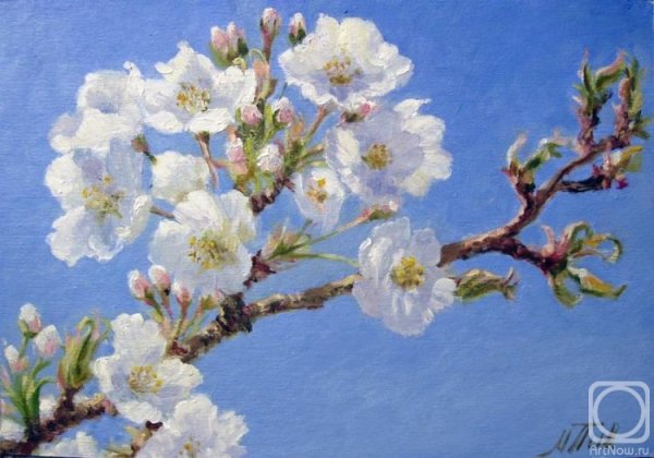 Картины яблони в цвету