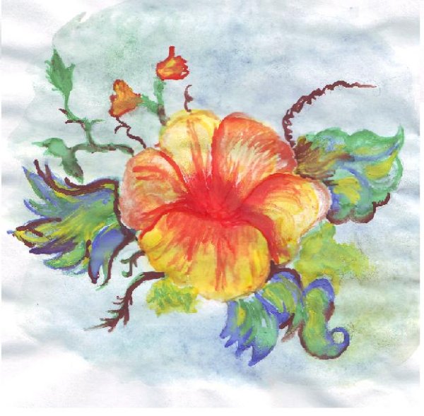 Рисунки цветов для срисовки красками