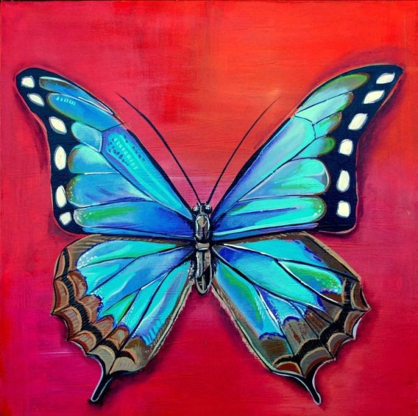 Рисование бабочки