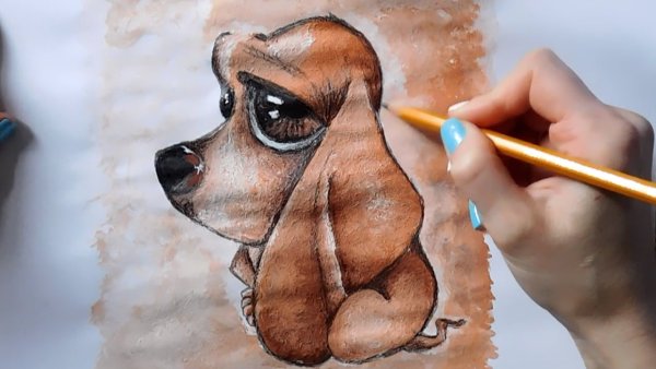 Собаки акварельными карандашами