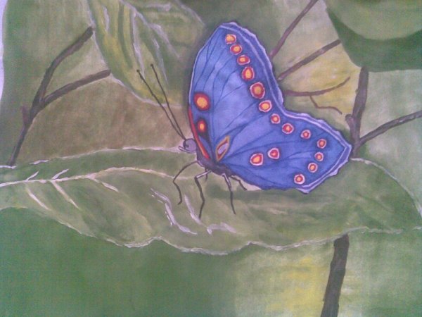 Бабочка гуашью для детей