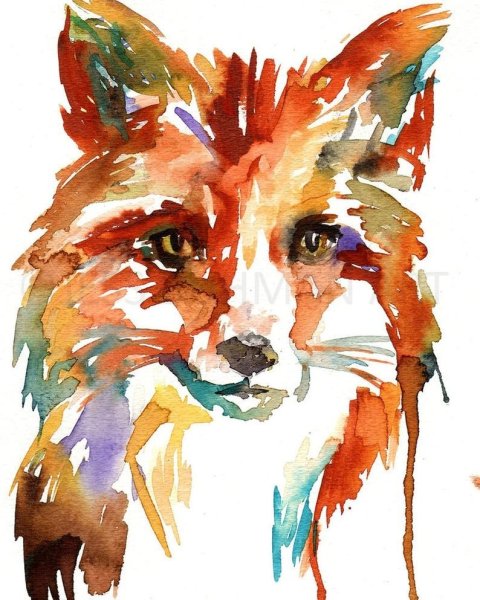 Лиса акварелью