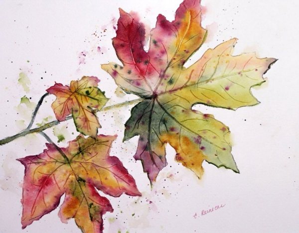 Осенние листья акварель