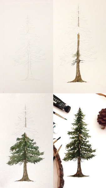 Ель акварелью