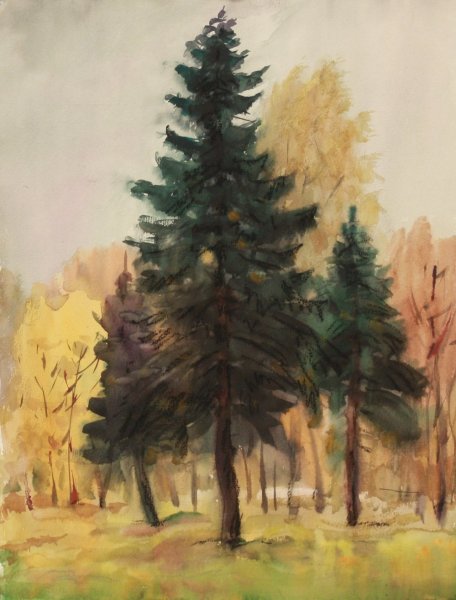 Ель живопись