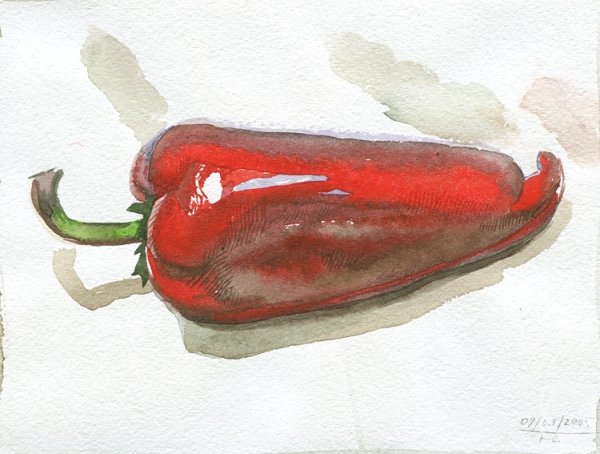 Этюд Чили перец