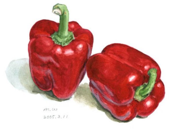 Красный перец акварелью