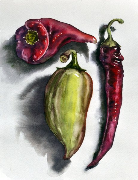 Болгарский перец акварелью