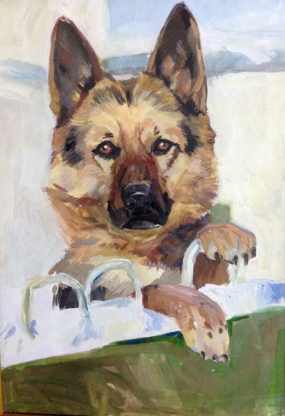 Овчарка гуашью