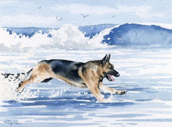 Немецкая овчарка портрет живопись