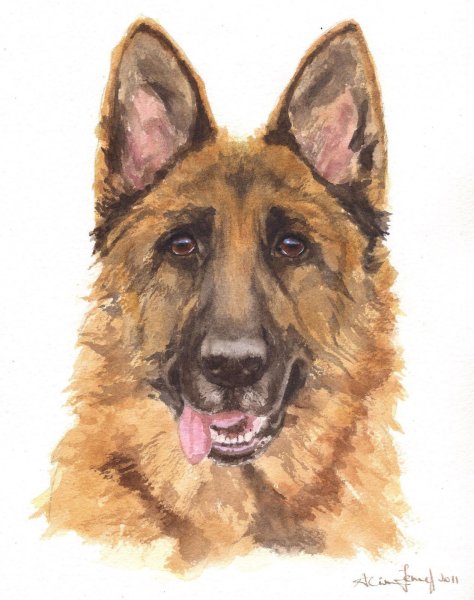 Немецкая овчарка Мухтар арт